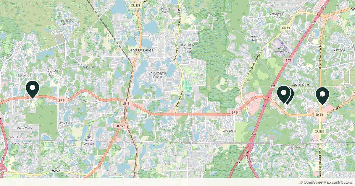 Map of 4 plastic surgery practices in Wesley Chapel, Florida