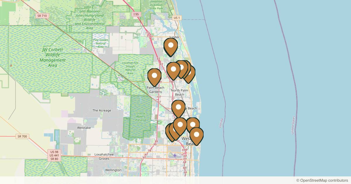 Map of 17 plastic surgery practices in West Palm Beach, Florida