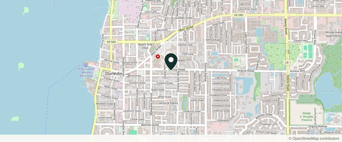 Map showing 725 Virginia Street Dermatology in Clearwater, Florida