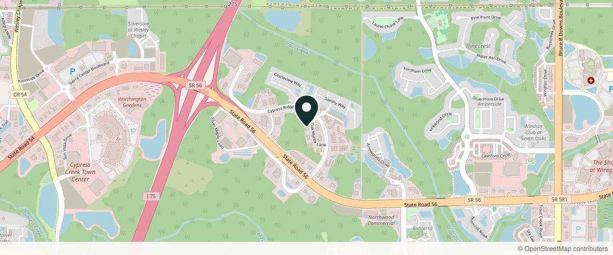 Map showing Ambay Plastic Surgery in Wesley Chapel, Florida