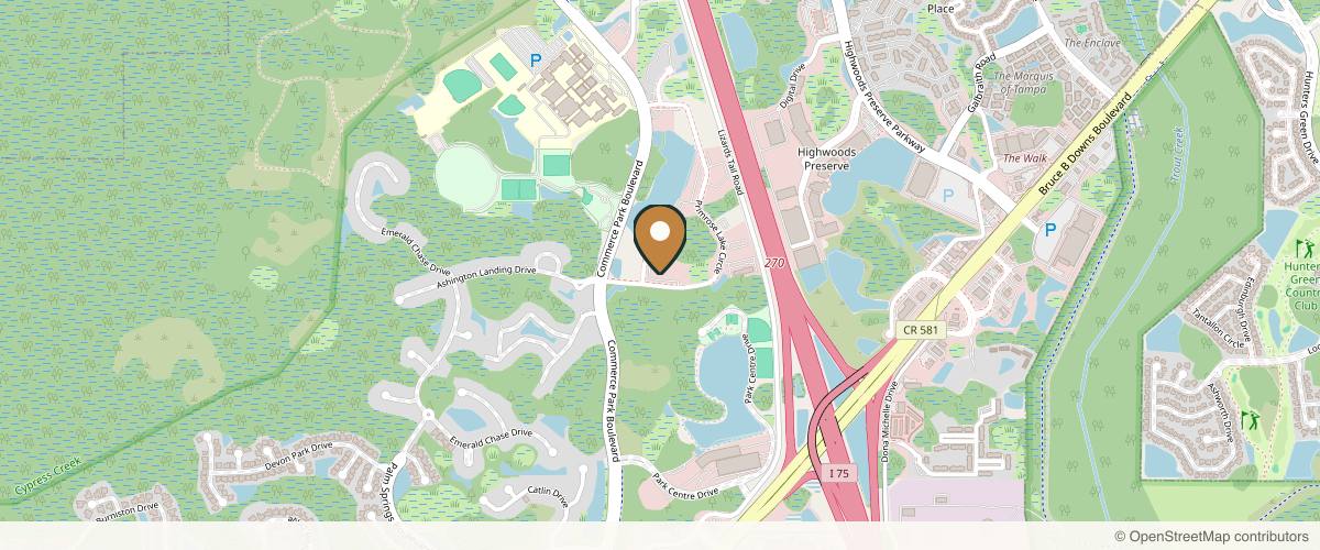 Map showing Artisan Aesthetics Plastic Surgery: Dr. Stan Castor, MD in Tampa, Florida