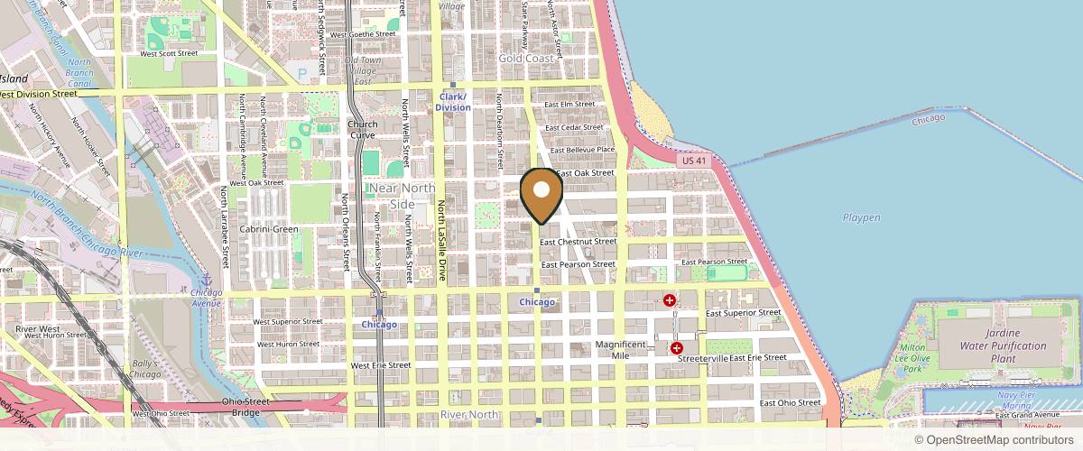 Map showing Bloom Plastic Surgery in Chicago, Illinois