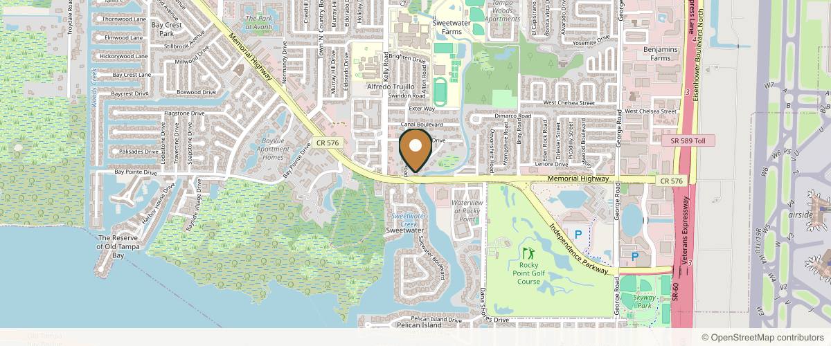 Map showing Bodze Plastic Surgery and Medical Spa in Tampa, Florida