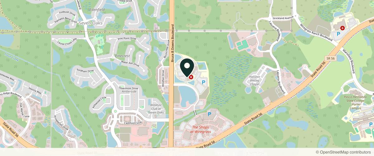 Map showing Derick Dermatology - Wesley Chapel in Wesley Chapel, Florida