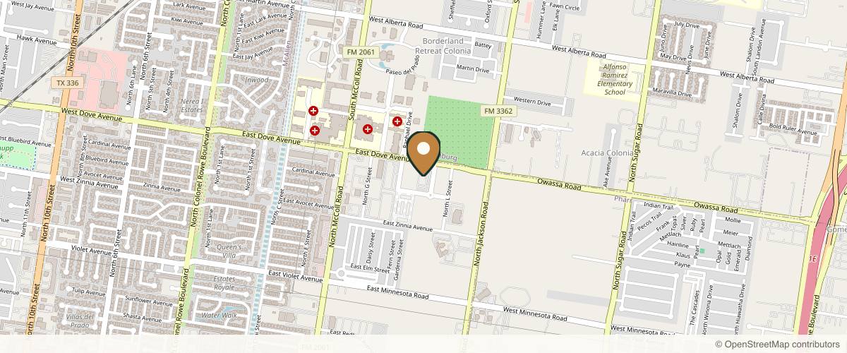 Map showing Dr. Ali Kilic, MD, MSHA in McAllen, Texas