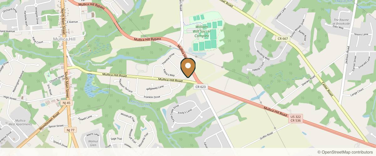 Map showing Dr. Bidic in Cherry Hill, New Jersey