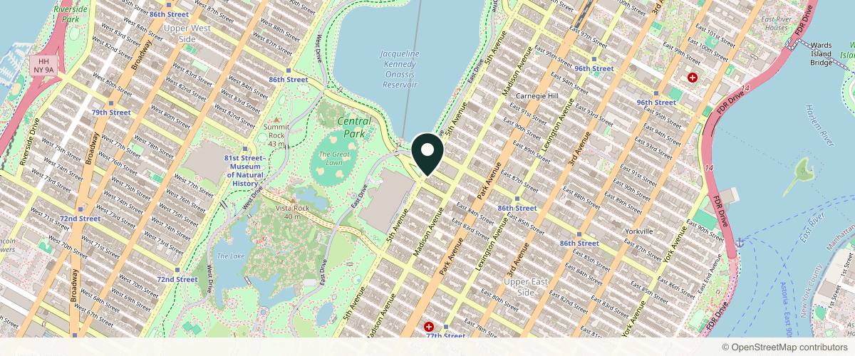Map showing Dr JoAn Monaco, MD, MS in New York, New York