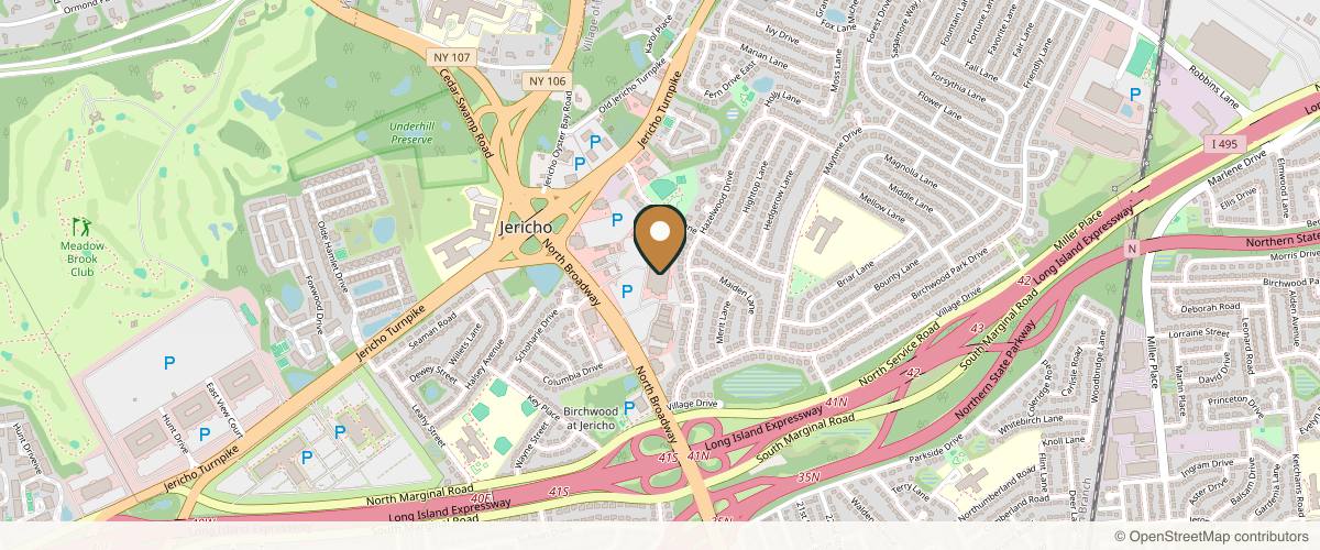 Map showing Dr. Kaveh Alizadeh, Cosmoplastic Surgery - Long Island in Long Island, New York
