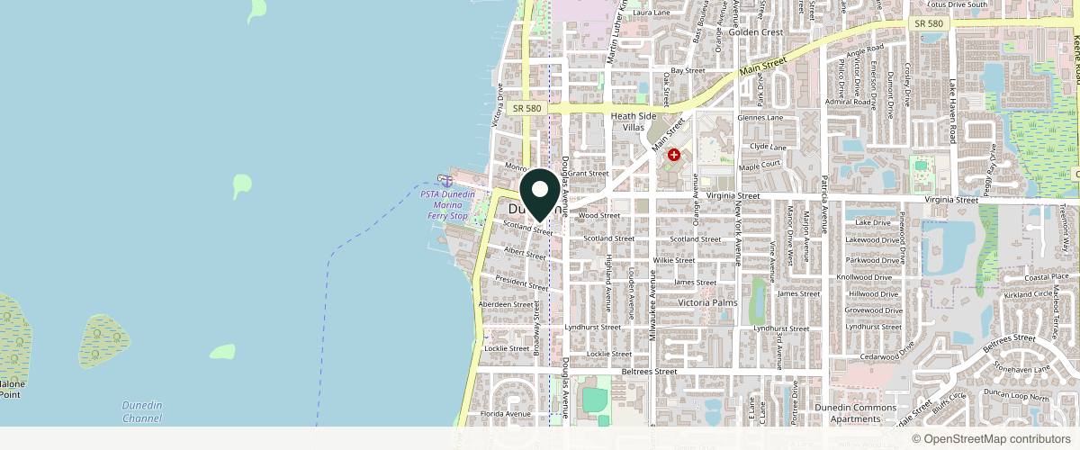 Map showing Dunedin Plastic Surgery: Dr. Jennifer B. Buck, MD, FACS in Clearwater, Florida