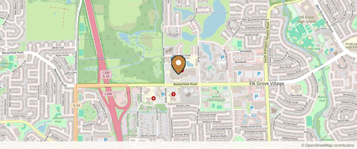 Map showing Kapadia Plastic Surgery: Dr. Sameer Kapadia in Schaumburg, Illinois