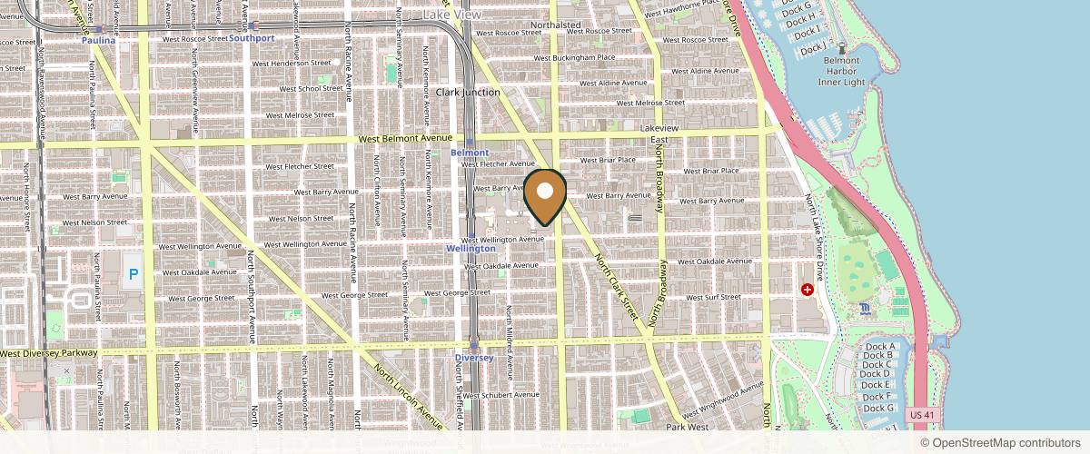 Map showing Lakeview Plastic Surgery in Chicago, Illinois