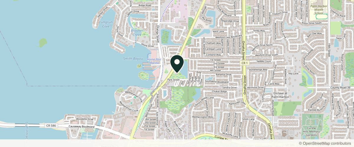 Map showing Laufer Institute of Plastic Surgery in Clearwater, Florida