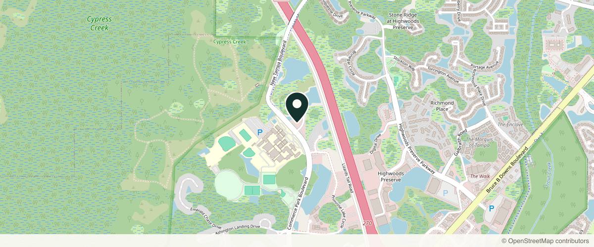Map showing Lisa M. Diaz, DO, FAAD in Wesley Chapel, Florida
