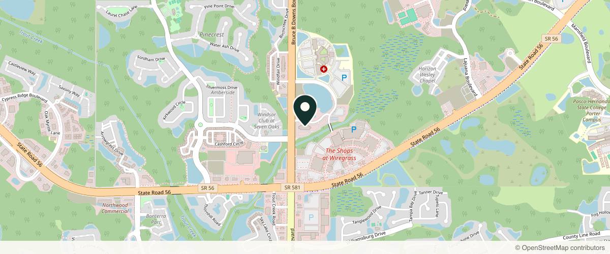 Map showing Maria I. Hicks, MD, FAAD in Wesley Chapel, Florida