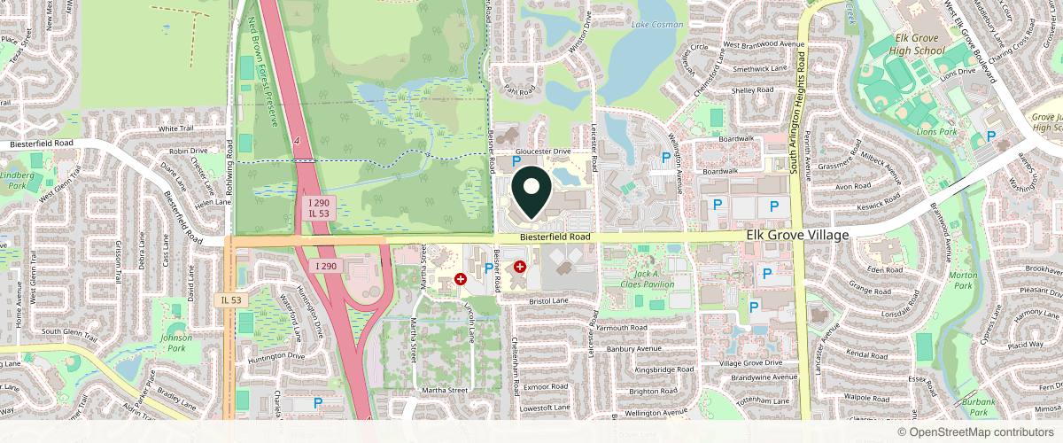 Map showing MCS Dermatology PLLC in Schaumburg, Illinois