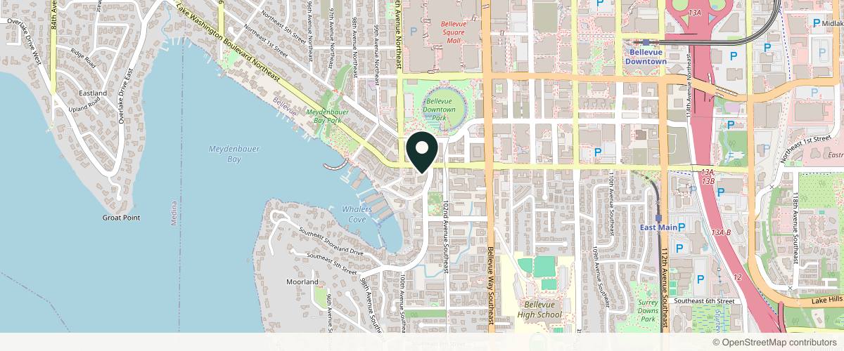 Map showing Newvue Plastic Surgery in Bellevue, Washington
