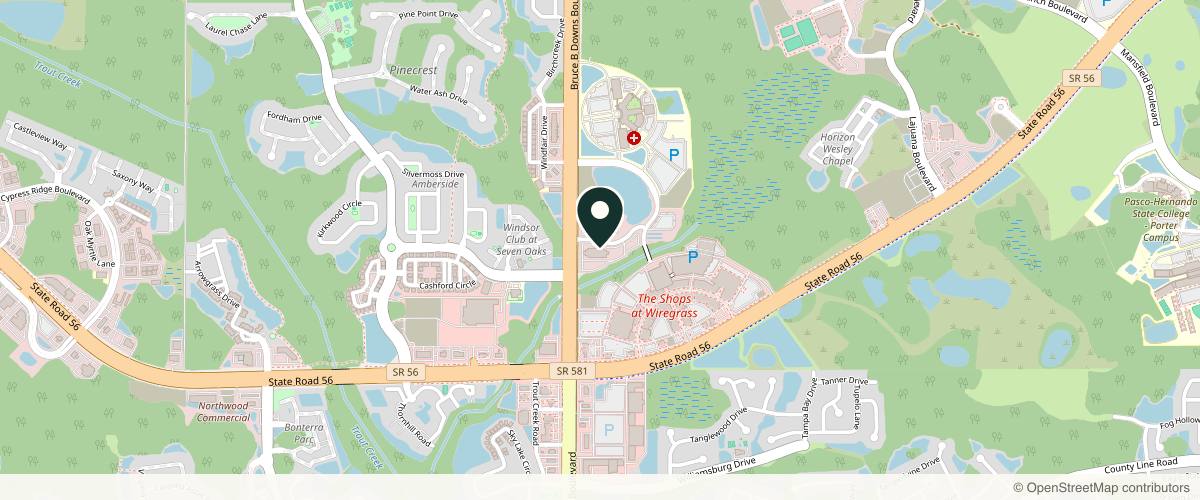 Map showing Nicole D. Figueredo, MD, FACS in Wesley Chapel, Florida