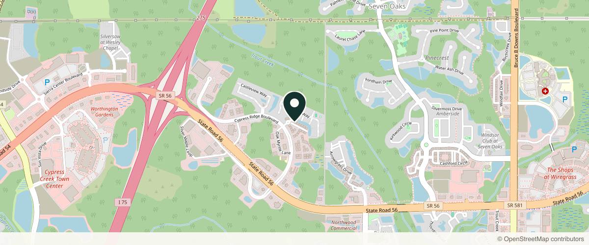 Map showing Nyanda Dermatology in Wesley Chapel, Florida