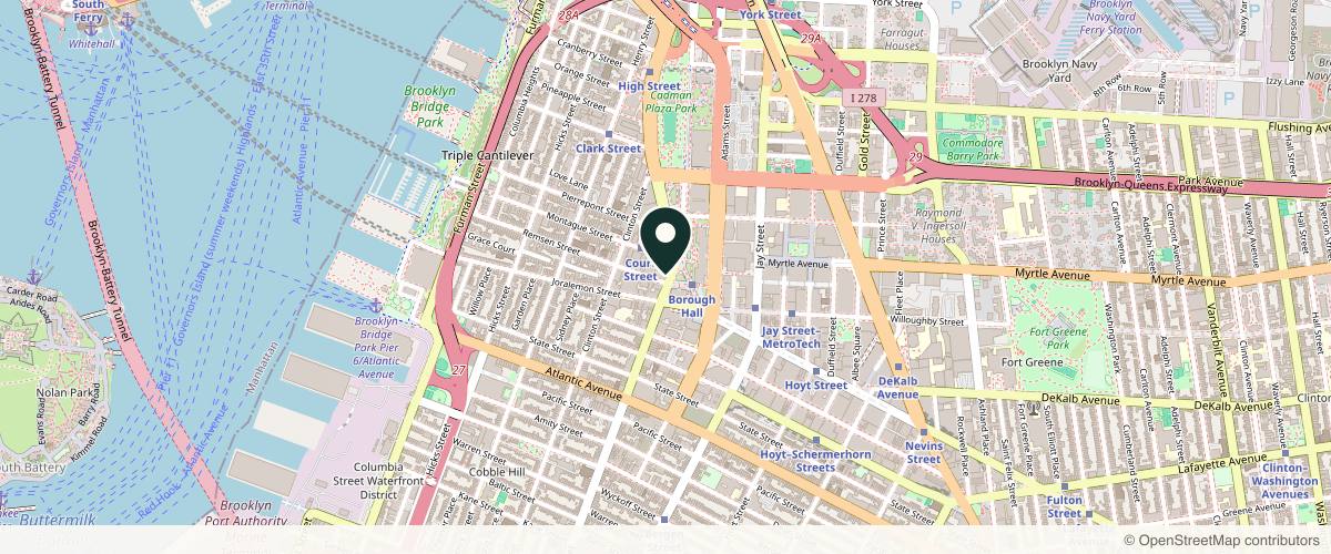 Map showing Plaza Park Dermatology: Tobechi Ebede, MD, FAAD in Brooklyn, New York