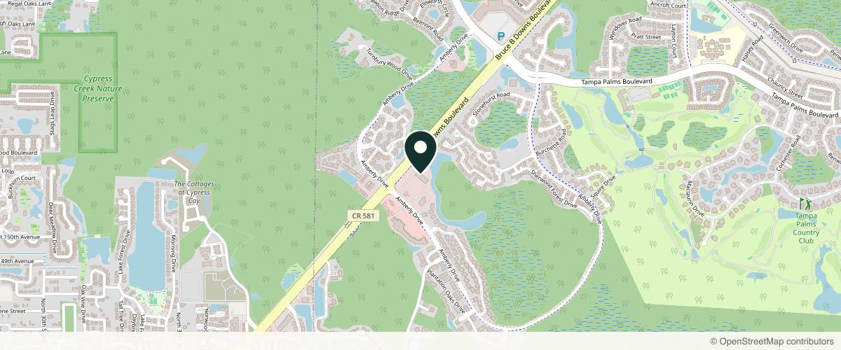 Map showing Riverchase Dermatology - Tampa Palms in Tampa, Florida