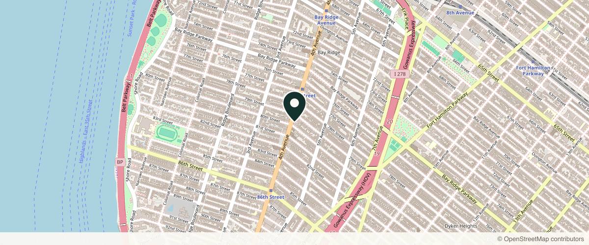 Map showing SINY Dermatology & Cosmetic Surgery in Brooklyn, New York