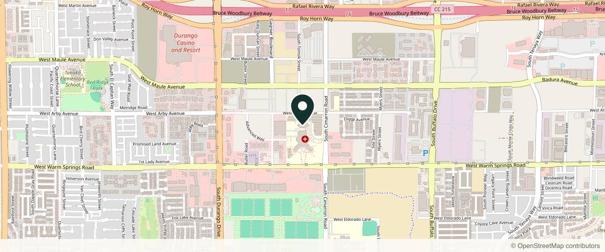 Map showing SurgiSpa Cosmetic & Plastic Surgery in Las Vegas, Nevada