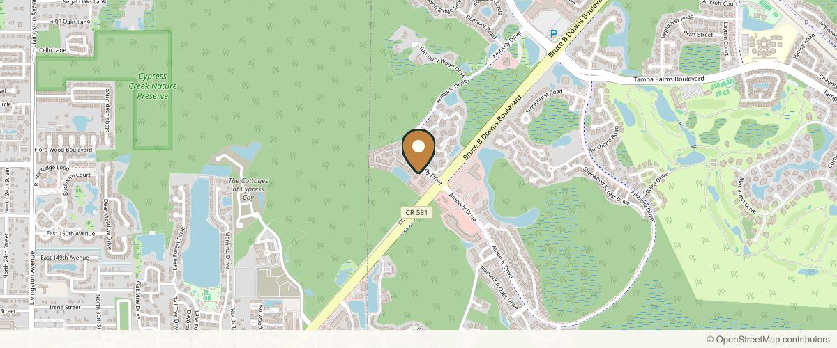 Map showing Tampa Palms Plastic Surgery in Tampa, Florida