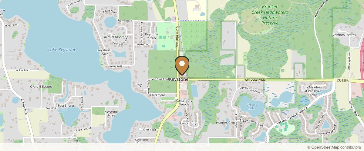 Map showing Tampa Surgical Arts in Tampa, Florida