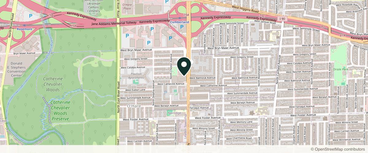 Map showing The Art of Plastic Surgery: Gregory A. Wiener, MD FACS in Chicago, Illinois