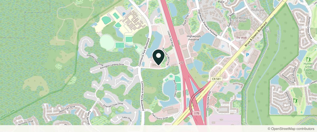 Map showing The Bowman Institute for Dermatologic Surgery in Wesley Chapel, Florida