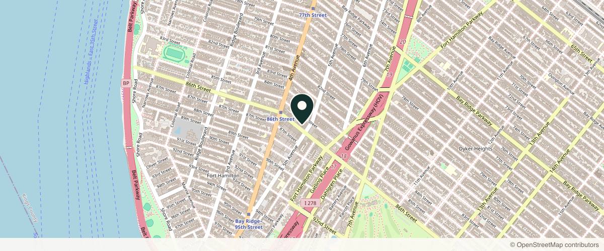 Map showing The Dermatology Specialists - Bay Ridge in Brooklyn, New York