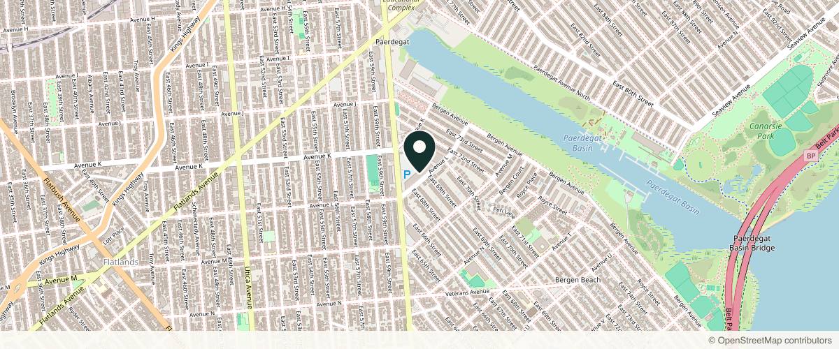 Map showing The Dermatology Specialists - Mill Basin in Brooklyn, New York