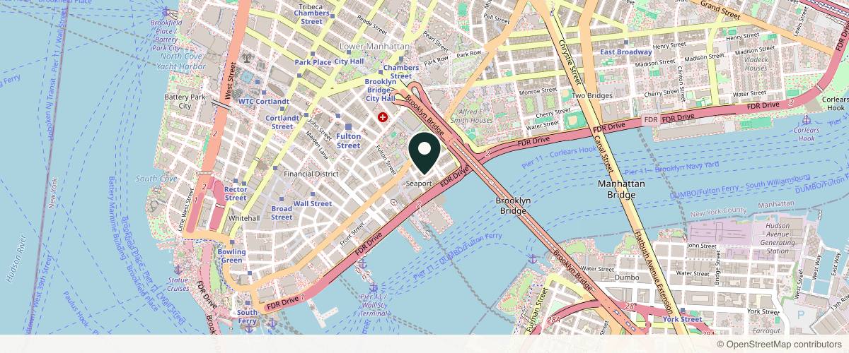 Map showing The Dermatology Specialists - South Street Seaport in New York, New York
