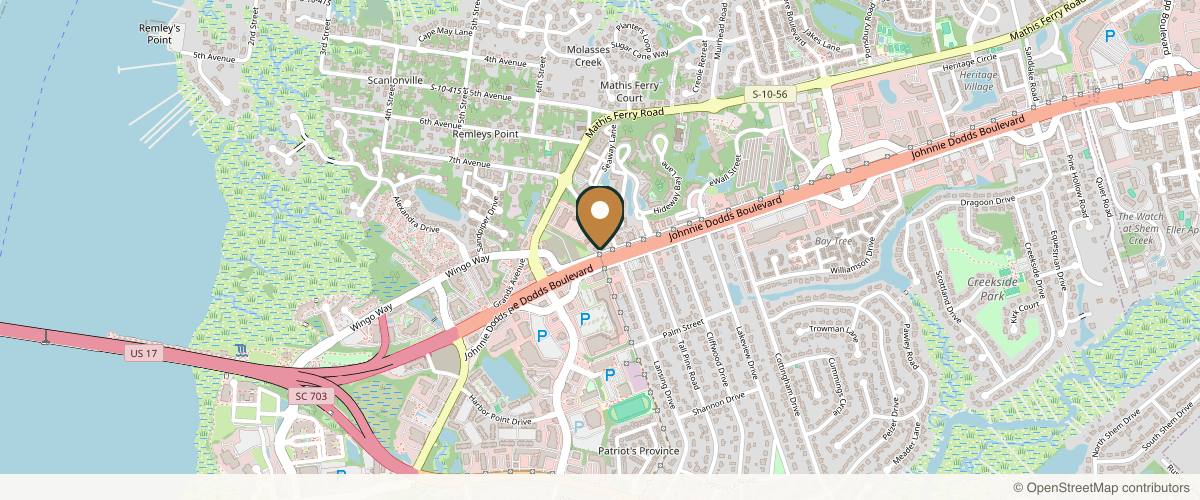 Map showing The Facial Surgery Center: Marcelo Hochman MD & Sami Tarabishy MD -Cosmetic Plastic Surgery in Mt Pleasant, SC in Charleston, South Carolina