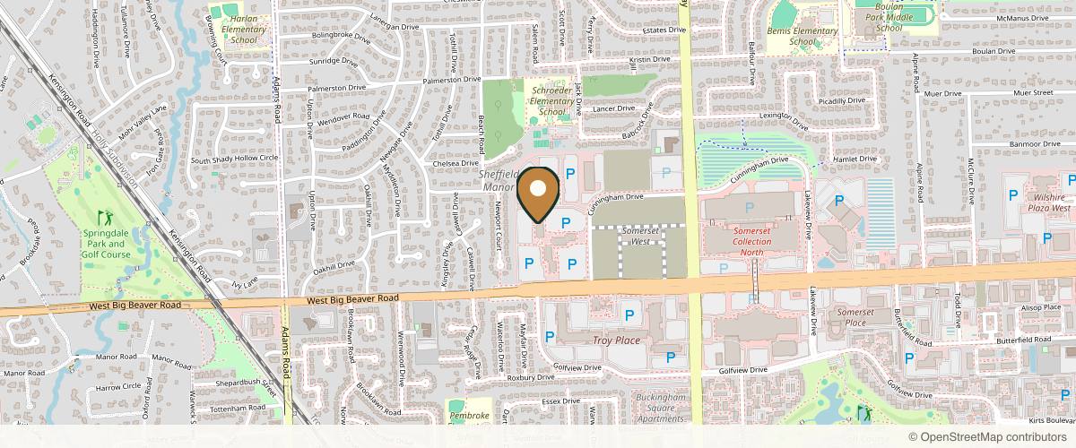 Map showing Your Girlfriend The Plastic Surgeon in Detroit, Michigan